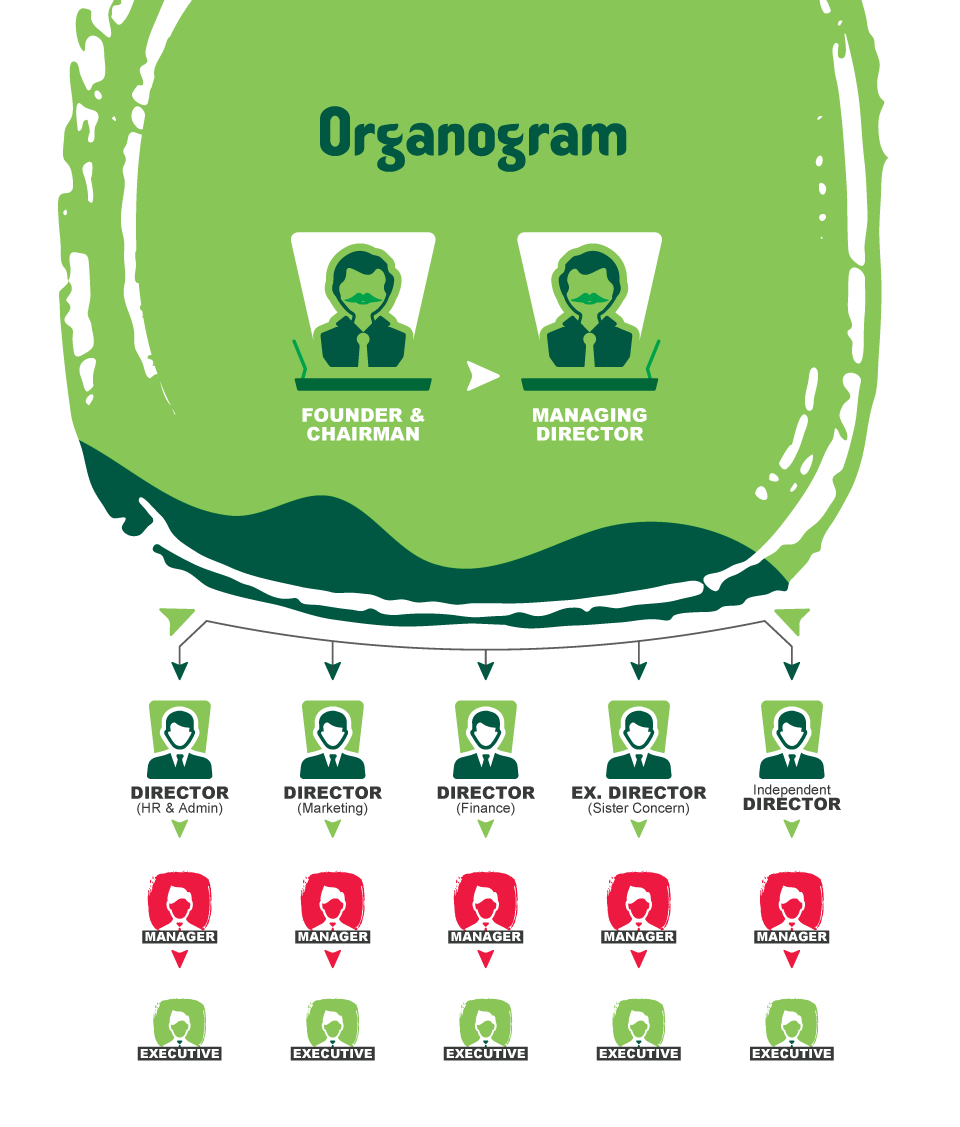 oraganogram